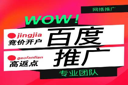 竞价端口开户全攻略，案例分析